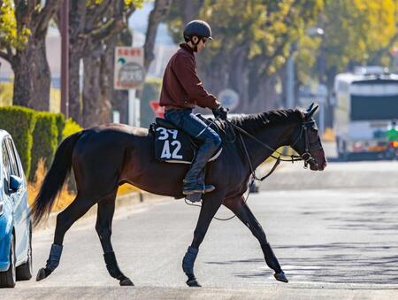 　タイトル奪取を狙うアルトラムス（撮影・石湯恒介）