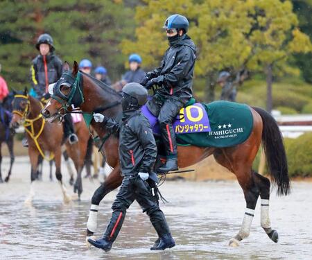 パンジャタワー