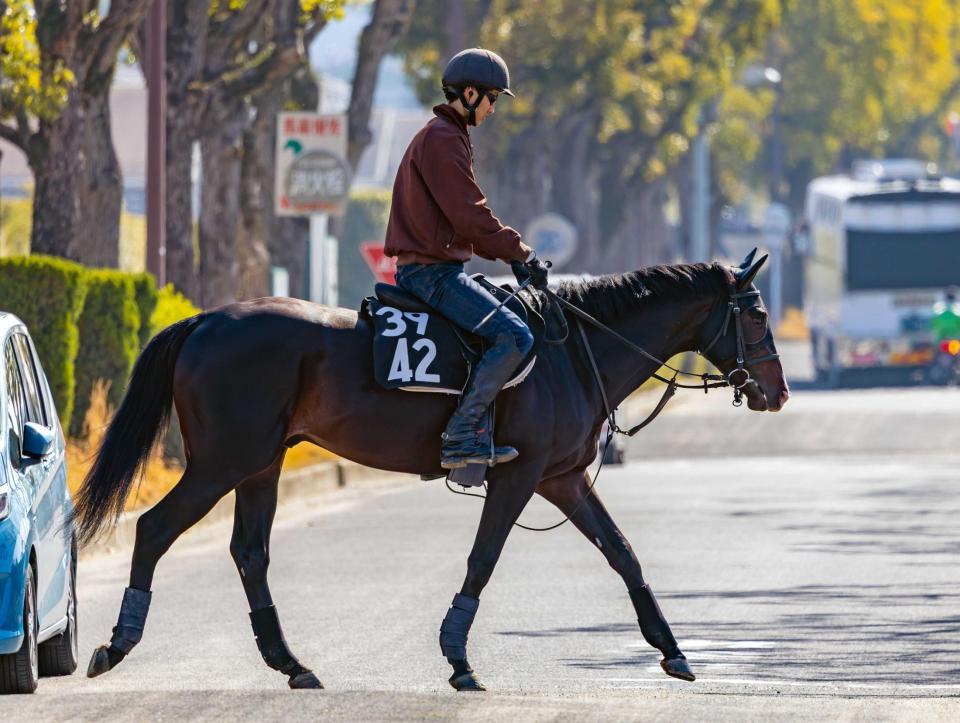 　タイトル奪取を狙うアルトラムス（撮影・石湯恒介）