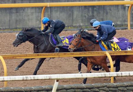 　栗東ＣＷで躍動したクロワデュノール（左）＝撮影・石湯恒介