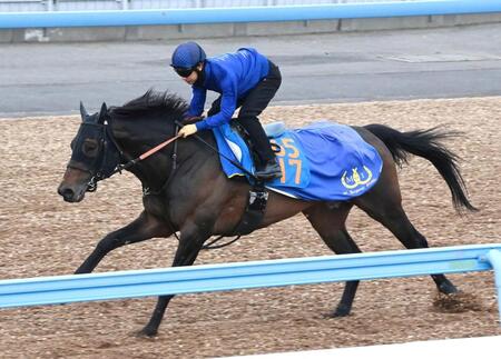 美浦Ｗで単走で追い切るアクションプラン（撮影・持木克友）
