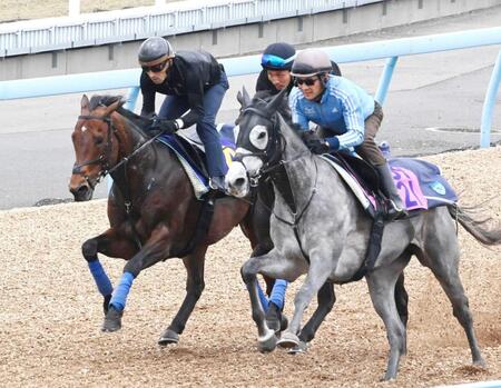 　万全の出走態勢を整えたサトノレーヴ（左）＝撮影・持木克友