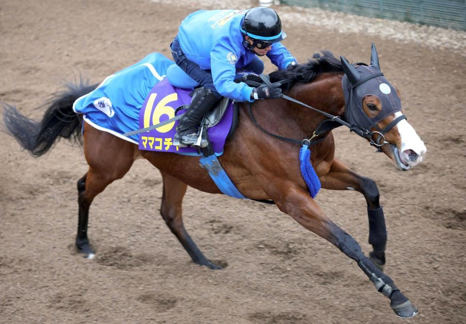 　鋭い動きを見せたママコチャ