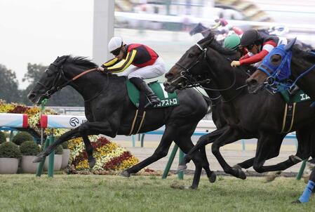 きさらぎ賞を制したゾロアストロ（左）＝２月１０日