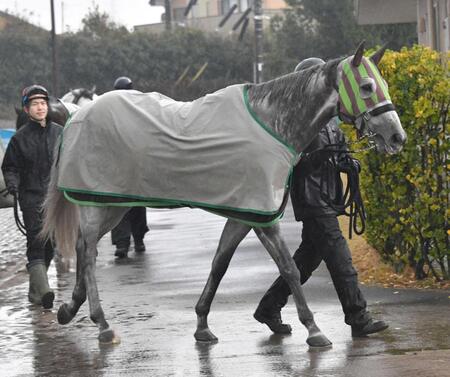 勢い十分にＧ１へ初挑戦するララマセラシオン　