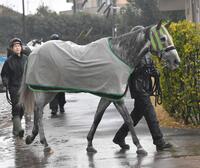 勢い十分にＧ１へ初挑戦するララマセラシオン　