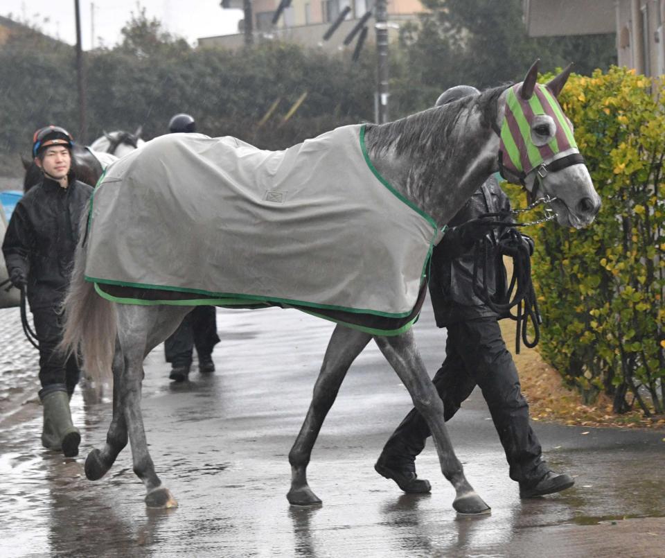 勢い十分にＧ１へ初挑戦するララマセラシオン　