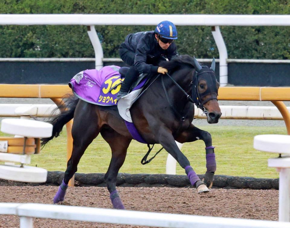 　川田を背に栗東ＣＷで抜群の動きを見せたショウヘイ