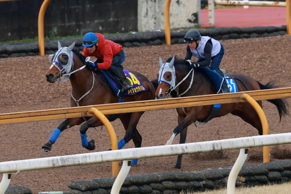 　栗東ＣＷでさすがの動きを披露したメイショウタバル（左）＝撮影・石湯恒介