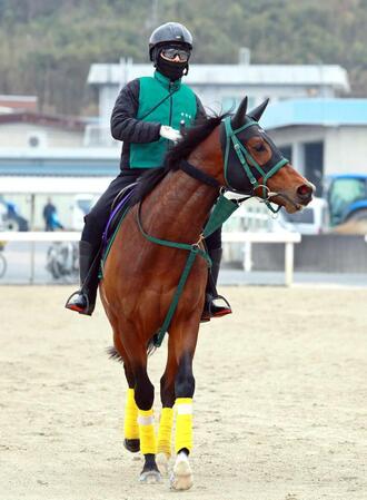 【高松宮記念】パンジャタワー　１枠１番でロスなくＧＯ　橋口師も万全強調「うまく仕上がった」