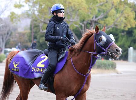 　ウインカーネリアン