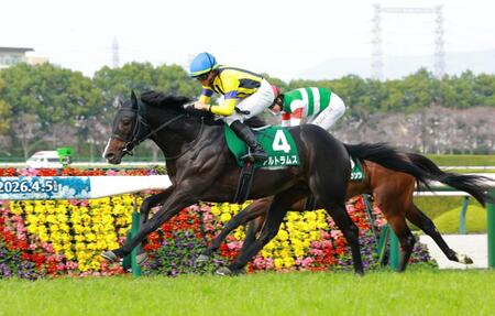 毎日杯を制したアルトラムス＝阪神競馬場（撮影・石湯恒介）