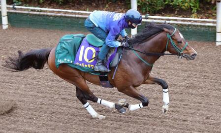 パンジャタワー