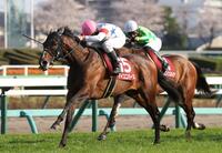 日経賞を勝利したマイユニバース（手前）