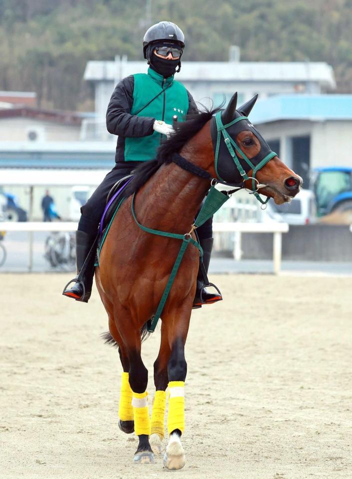 　パンジャタワー