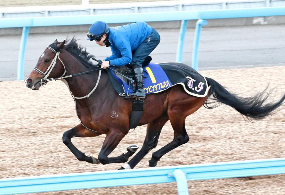 　好位からレースを運びたいインビシブルパパ