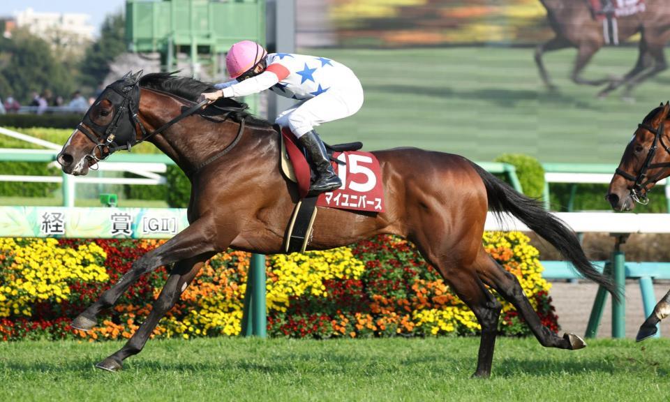 日経賞を勝利したマイユニバース
