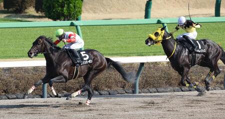 ドンエレクトスを突き放すダノンバーボン（左）