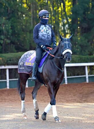 　現役ラストランへ万全の態勢で臨むナムラクレア