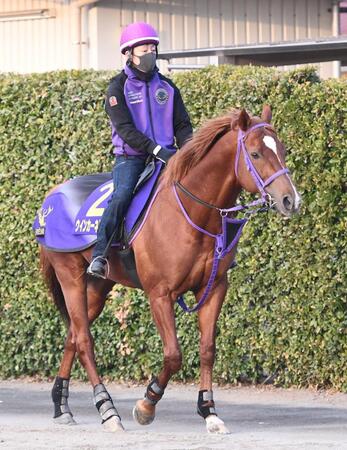 ウインカーネリアン