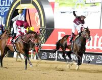 ドバイワールドＣで２着に敗れたフォーエバーヤング（左）と勝ったマグニチュード（撮影・平松さとし）