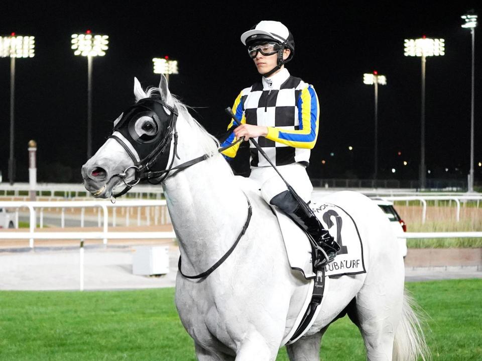 ドバイターフに挑み６着に敗れたガイアフォース（撮影・平松さとし）