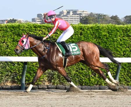 　会心Ｖにガッツポーズを決める角田和（撮影・持木克友）