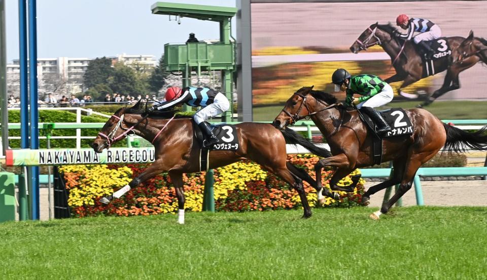 ミモザ賞を勝ったベンヴェヌータ（撮影・持木克友）