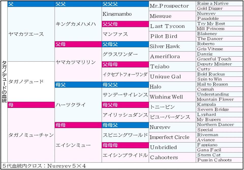 タガノデュードの５代血統表