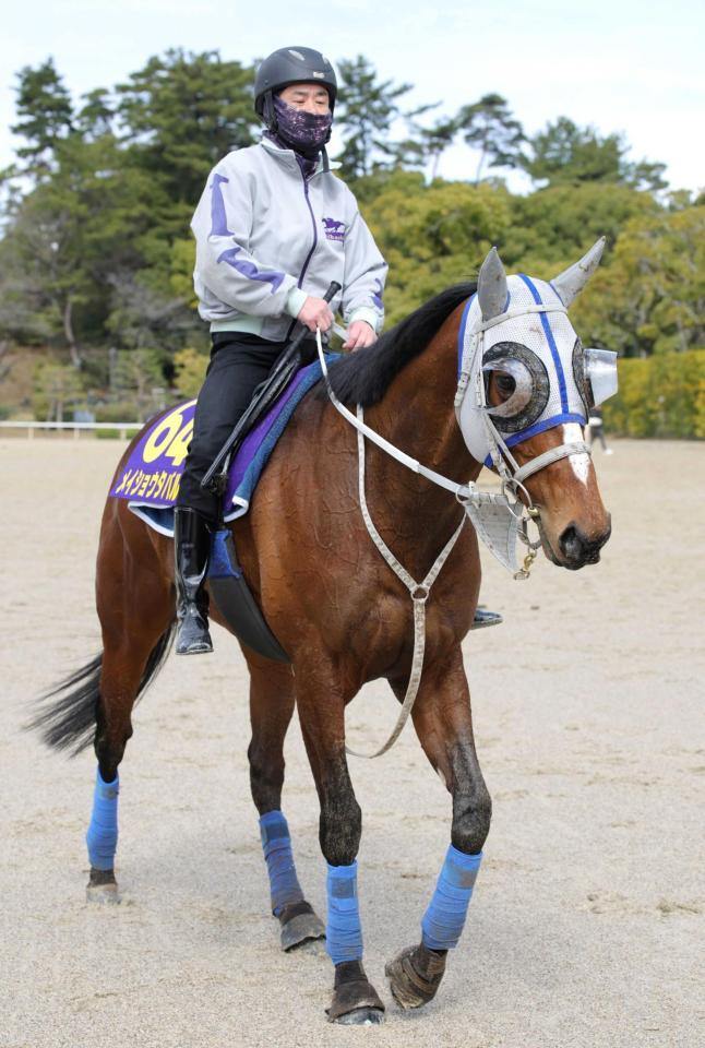 　データ班が推すメイショタバル