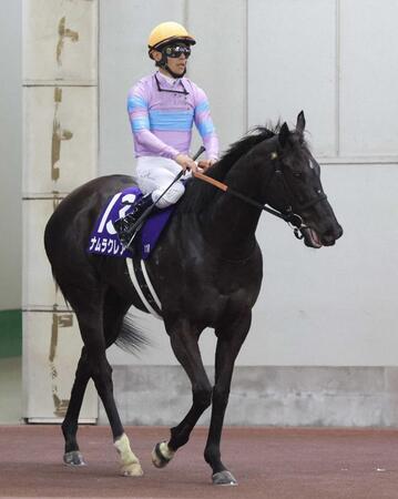 高松宮記念で６着に終わったナムラクレア＝３月２９日