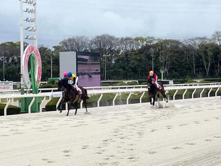 ダートグレード２勝目を挙げたメモリアカフェ（左から２頭目）＝撮影・中山伸治