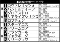 　３歳馬格付けチェック