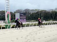 ダートグレード２勝目を挙げたメモリアカフェ（左から２頭目）＝撮影・中山伸治