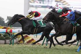 　きさらぎ賞を制したゾロアストロ（左）