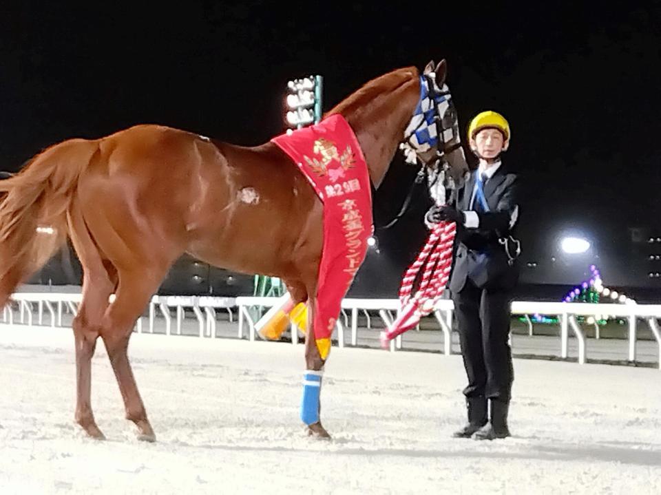 京成盃グランドマイラーズを制したジョージテソーロ