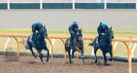 　３つ目のＧ１タイトル奪取に燃えているクロワデュノール（左）＝撮影・石湯恒介