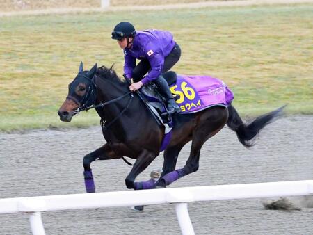 　栗東ＤＰで追い切るショウヘイ（撮影・石湯恒介）