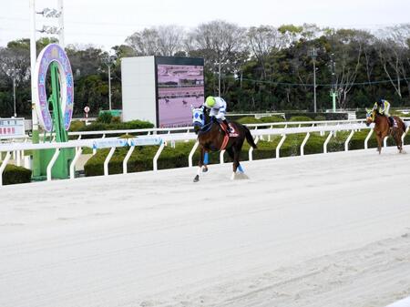 兵庫３冠達成への権利を得たゴッドフェンサー（撮影・中山伸治）