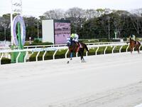 兵庫３冠達成への権利を得たゴッドフェンサー（撮影・中山伸治）