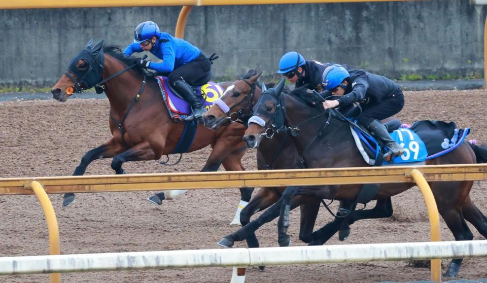 栗東ＣＷで追い切るファウストラーゼン（左）＝撮影・石湯恒介