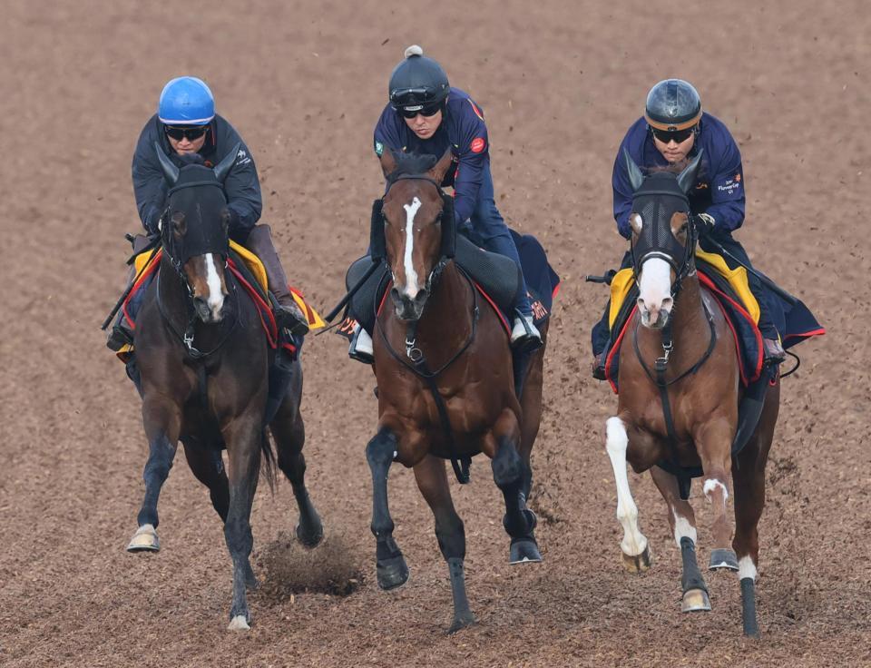 ウッドチップコースでトレヴィ（右）、ノットファウンド（左）と併せて追われるサンダーストラック（中央）