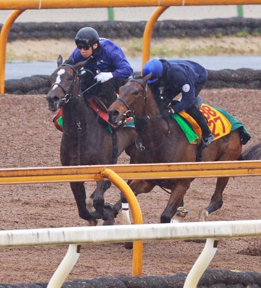 栗東ＣＷで追い切るドリームコア（左）＝撮影・石湯恒介