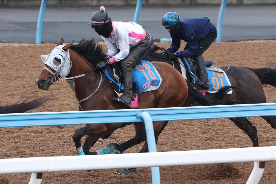 辻調教師を背にウッドチップコースでヤマニンアドホックと併せて追われるイミグラントソング（手前）