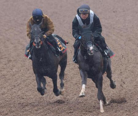 ウッドチップコースで併せて追われるグリーンエナジー（右）と荻野極騎乗のフォルテアンジェロ