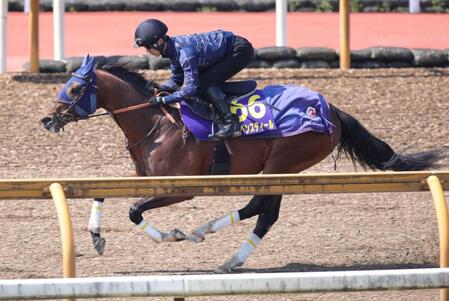 　悲願のＧ１制覇へ態勢万全で臨むレーベンスティール（撮影・坂部計介）