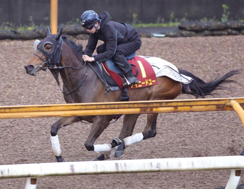 　栗東ＣＷで力強い動きを披露したアイニードユー
