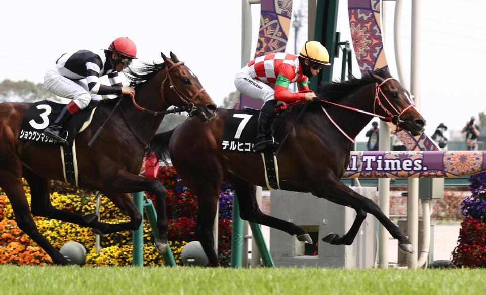 大寒桜賞を制した西村淳也騎乗のテルヒコウ（右）＝３月２９日