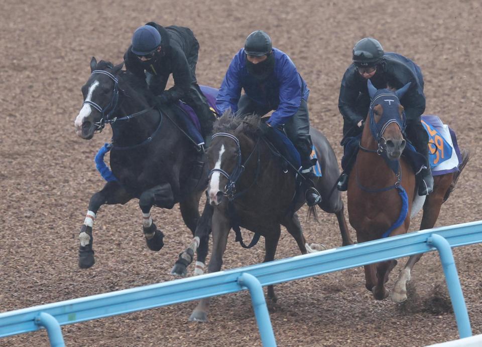 嶋田を背にウッドチップコースで（右から）ツルマウカタチ、マイネルクリソーラと併せて追われるマスカレードボール（左）