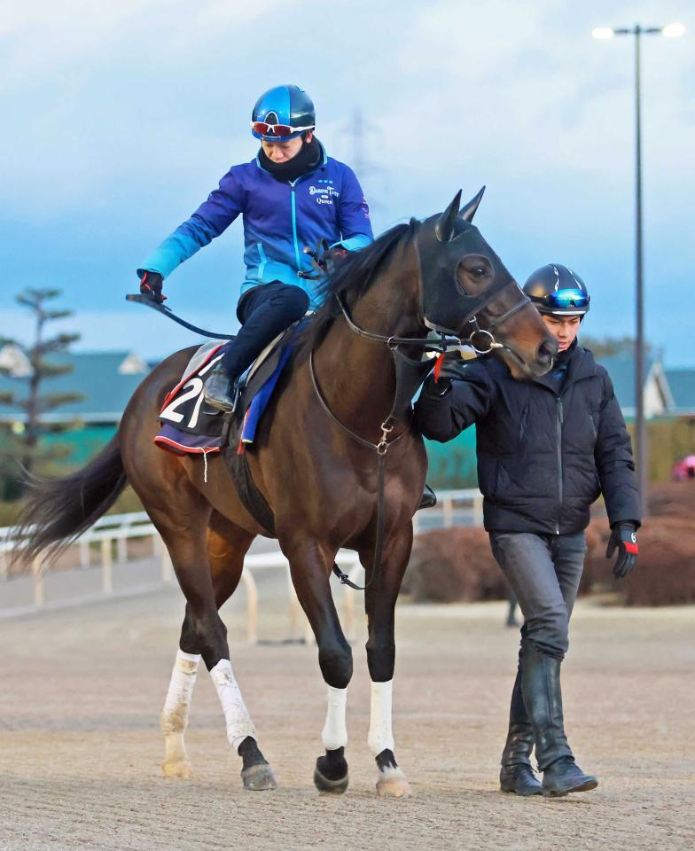 ファーヴェント